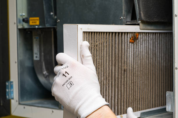Best Air Duct Sanitizing Services  in Strasburg, VA